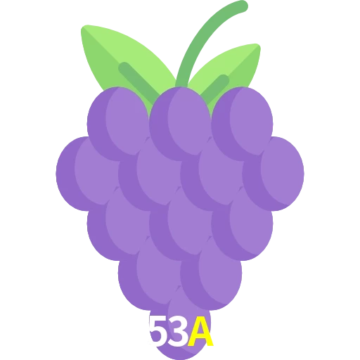 53A